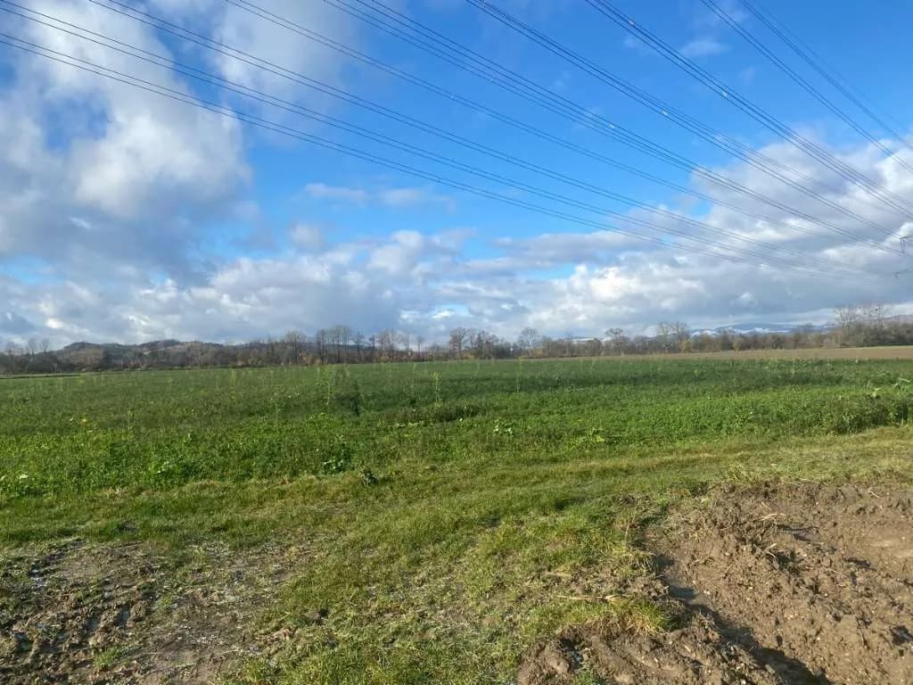 Grundstück kaufen in Linz Land – 33 750 m², € 978.750