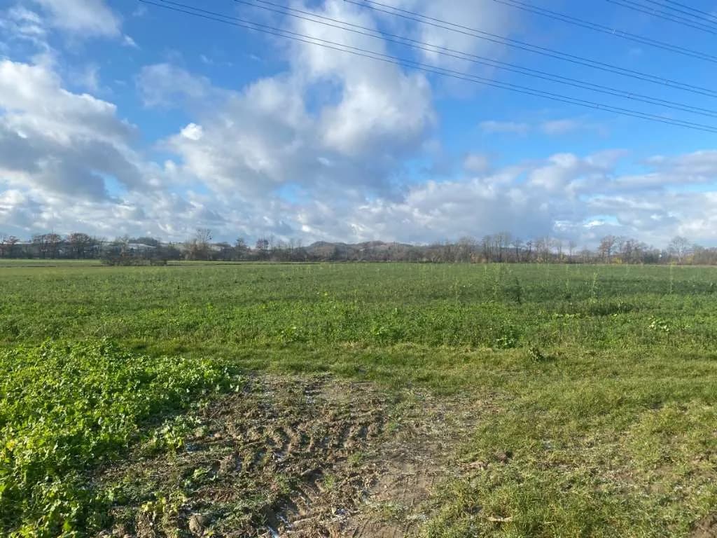 Grundstück kaufen in Linz Land – 33 750 m², € 978.750 – Bild 2 von 3