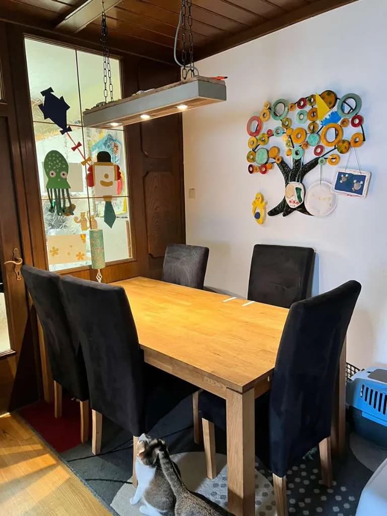 2-Zimmer-Wohnung mieten in Bruck-Mürzzuschlag – 61 m², € 635