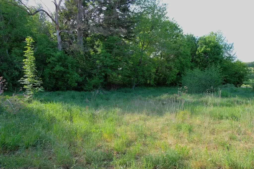 Grundstück kaufen in Sankt Pölten Land – 1 377 m², € 160.000 – Bild 2 von 3