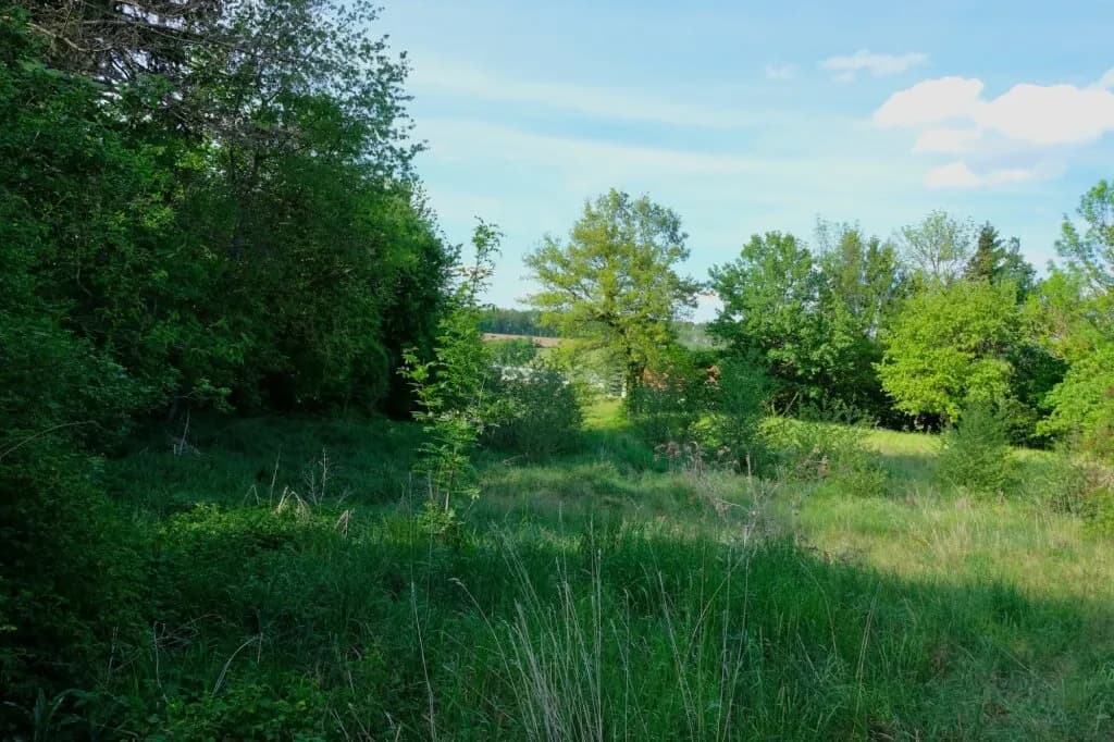 Grundstück kaufen in Sankt Pölten Land – 1 377 m², € 160.000 – Bild 3 von 3