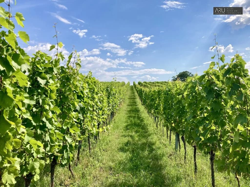 Immobilie kaufen in Oberwart – 75 m², € 67.000 – Bild 2 von 22