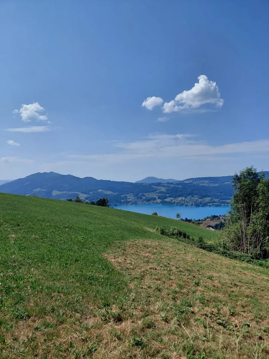 Grundstück kaufen in Vöcklabruck – 1 528 m², € 498.000