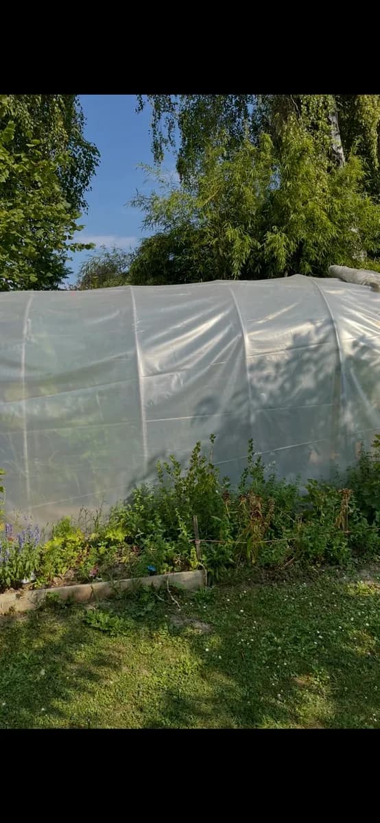 2-Zimmer-Wohnung kaufen in Korneuburg – 38 m², € 70.000 – Bild 10 von 13
