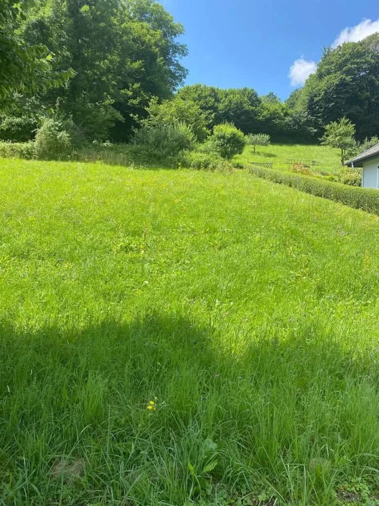 Grundstück kaufen in Hartberg-Fürstenfeld – 6 366 m², € 286.000