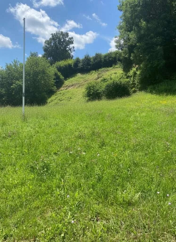 Grundstück kaufen in Hartberg-Fürstenfeld – 6 366 m², € 286.000 – Bild 2 von 5