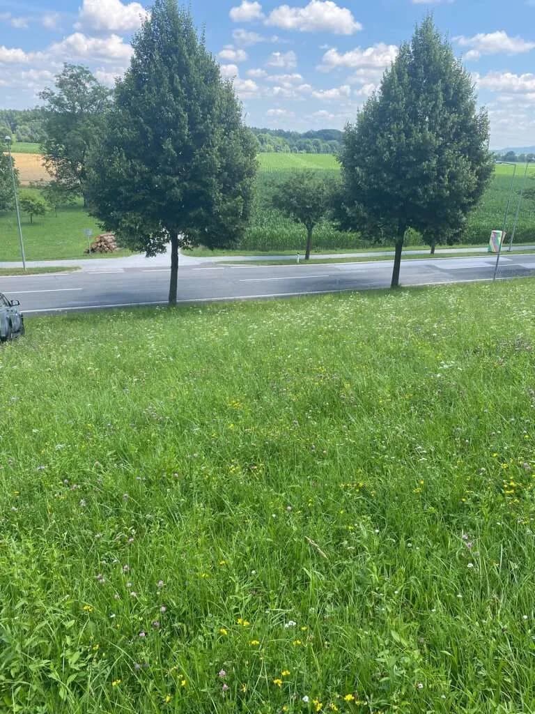 Grundstück kaufen in Hartberg-Fürstenfeld – 6 366 m², € 286.000 – Bild 3 von 5