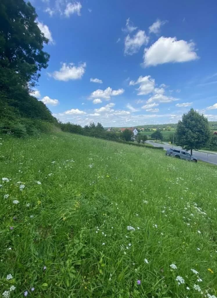 Grundstück kaufen in Hartberg-Fürstenfeld – 6 366 m², € 286.000 – Bild 4 von 5