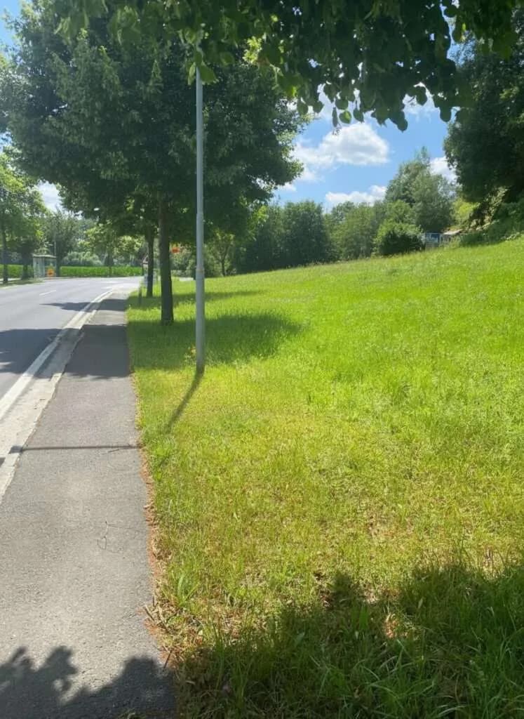Grundstück kaufen in Hartberg-Fürstenfeld – 6 366 m², € 286.000 – Bild 5 von 5