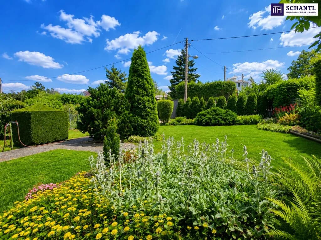 Haus kaufen in Wien – 25 m², € 199.000 – Bild 5 von 14