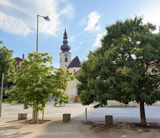 Gewerbeimmobilie mieten in Wels – 237 m², € 3.728 – Bild 5 von 5