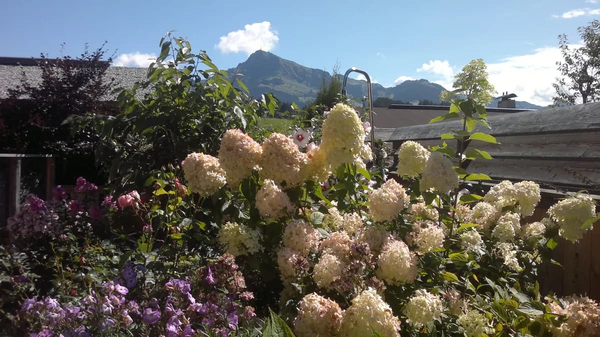 Gewerbeimmobilie kaufen in Kitzbühel – 330 m², € 5.400.000