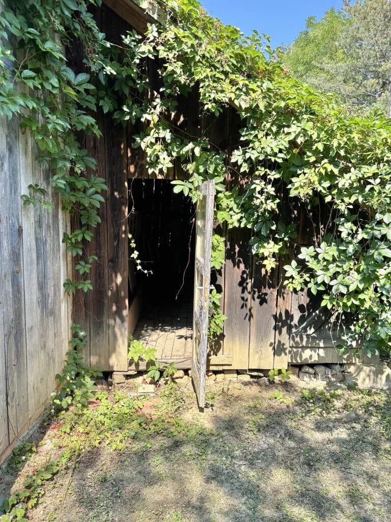 3-Zimmer-Haus kaufen in Güssing – 83 m², € 87.000 – Bild 54 von 63