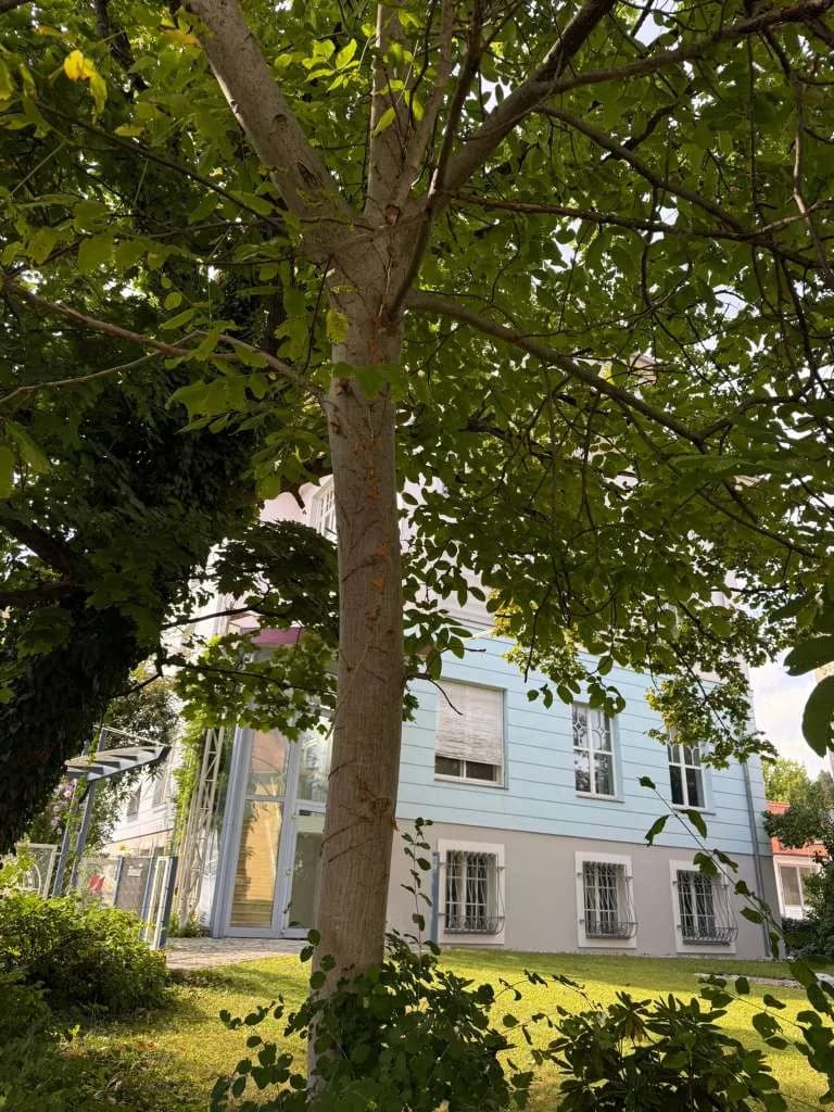 Gewerbeimmobilie mieten in Graz – 432 m², € 8.000 – Bild 40 von 46