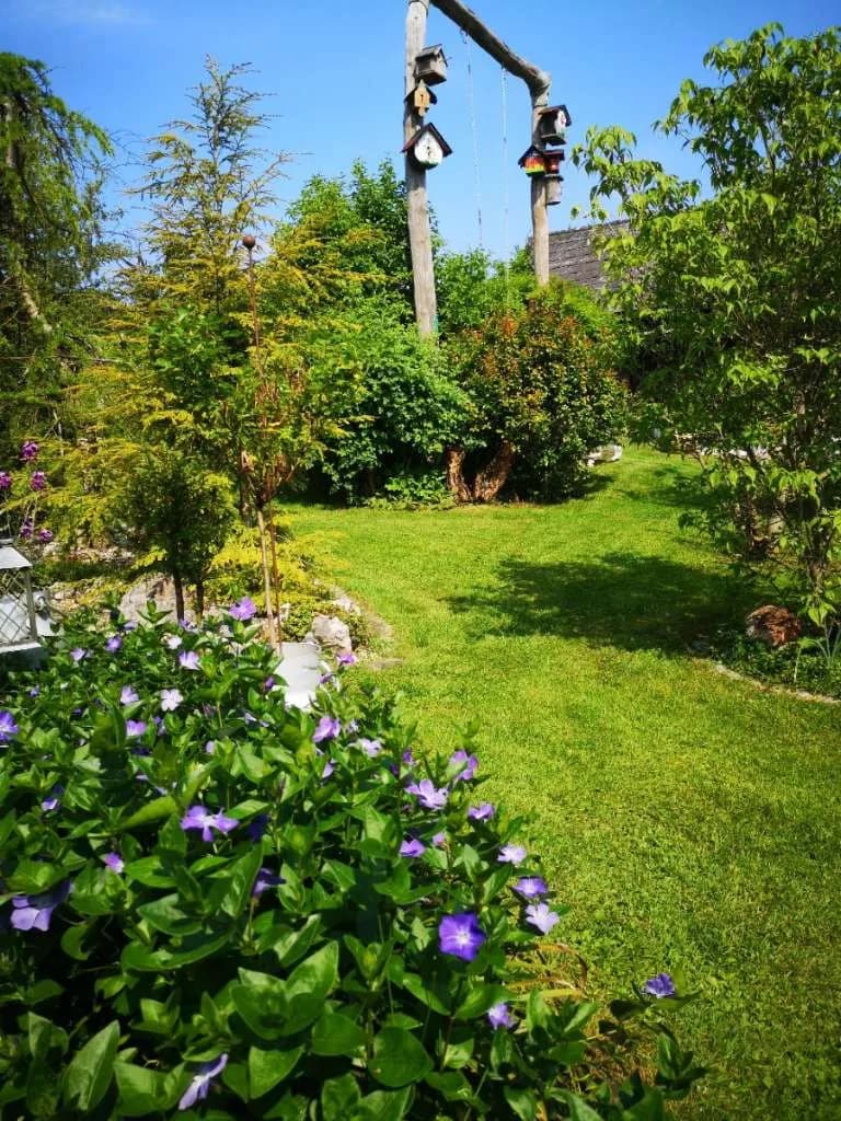 Haus kaufen in Wels-Land – 90 m², € 485.000 – Bild 48 von 63