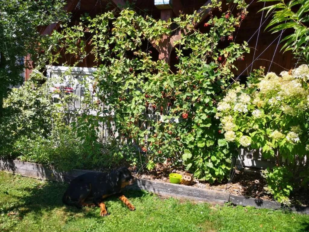 Haus kaufen in Wels-Land – 90 m², € 485.000 – Bild 50 von 63