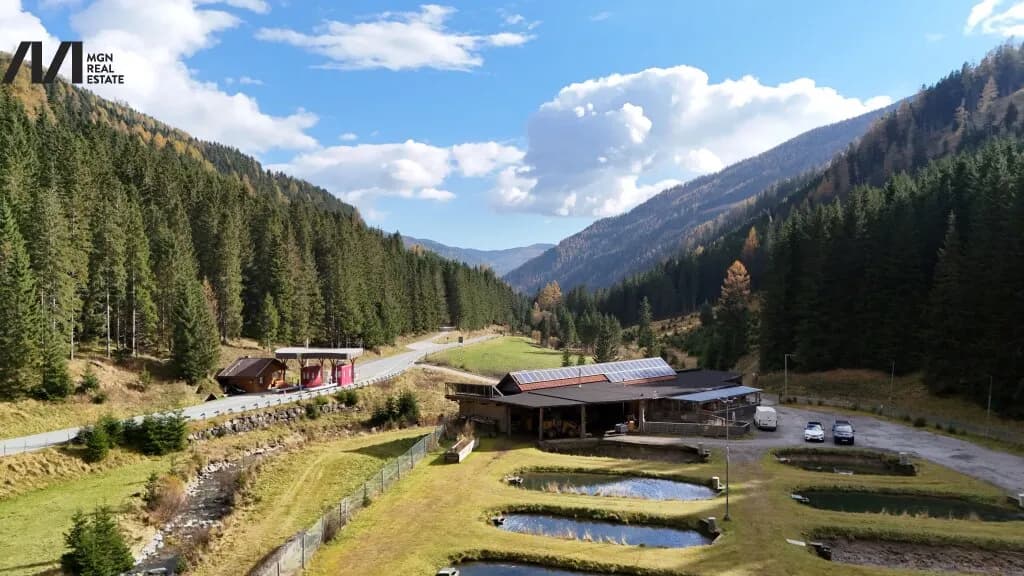 Gewerbeimmobilie mieten in Feldkirchen – 299 m², € 2.500