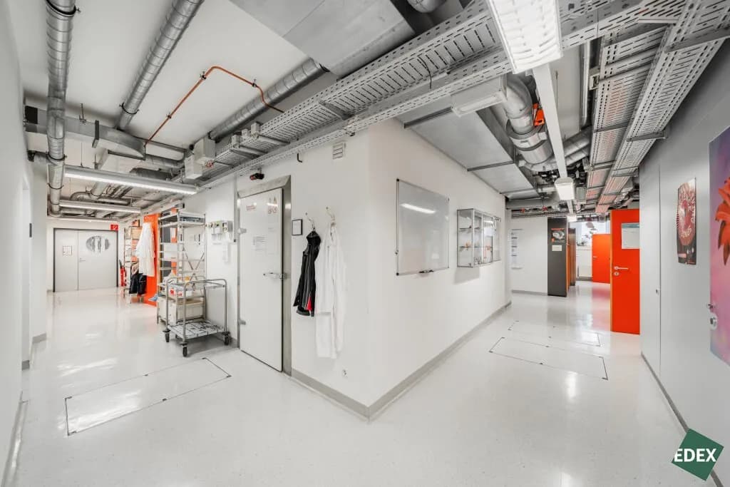 Gewerbeimmobilie mieten in Wien – 424 m², € 12.033 – Bild 5 von 14