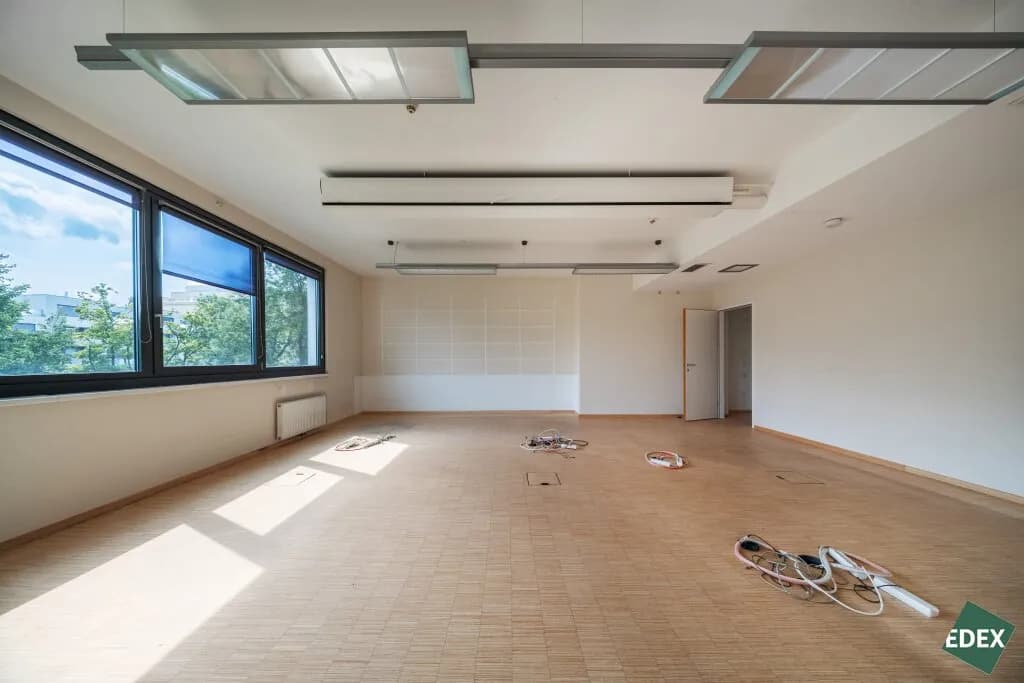 Gewerbeimmobilie mieten in Wien – 500 m², € 13.158 – Bild 3 von 13