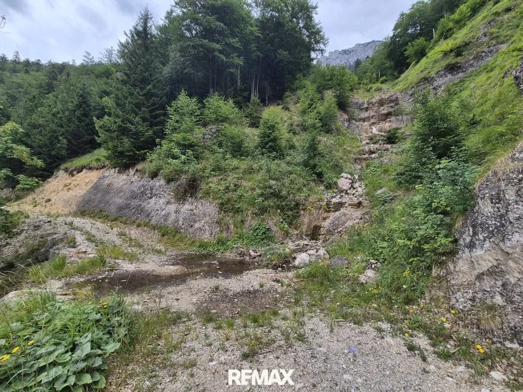 Immobilie kaufen in Gmunden – 174 663 m², € 350.000 – Bild 4 von 12