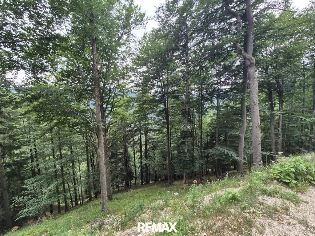 Immobilie kaufen in Gmunden – 174 663 m², € 350.000 – Bild 6 von 12