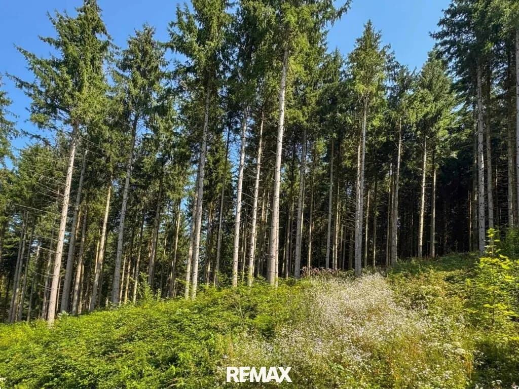Immobilie kaufen in Gmunden – 13 335 m², € 130.000 – Bild 3 von 5