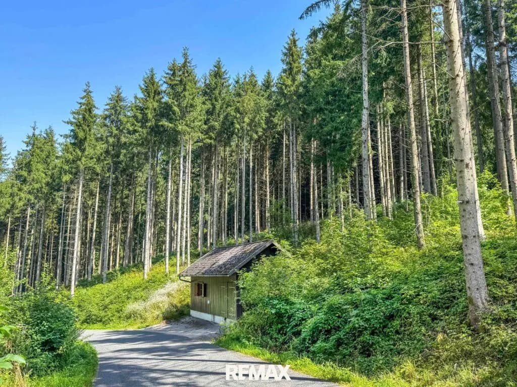 Immobilie kaufen in Gmunden – 13 335 m², € 130.000 – Bild 5 von 5