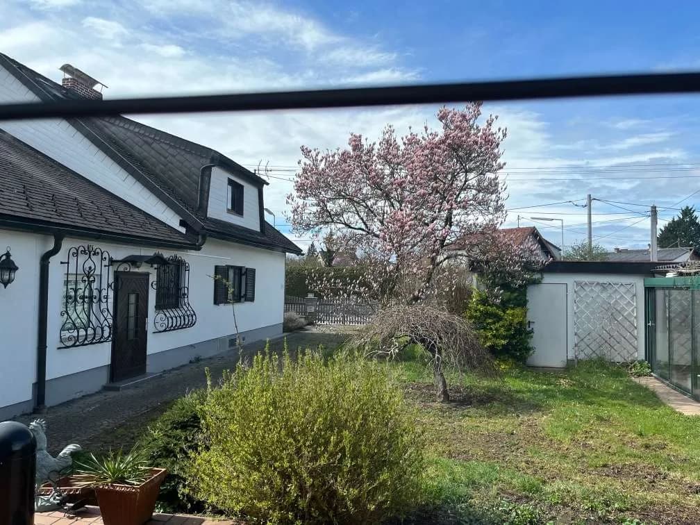 2-Zimmer-Haus kaufen in Linz – 93 m², € 390.000 – Bild 7 von 12