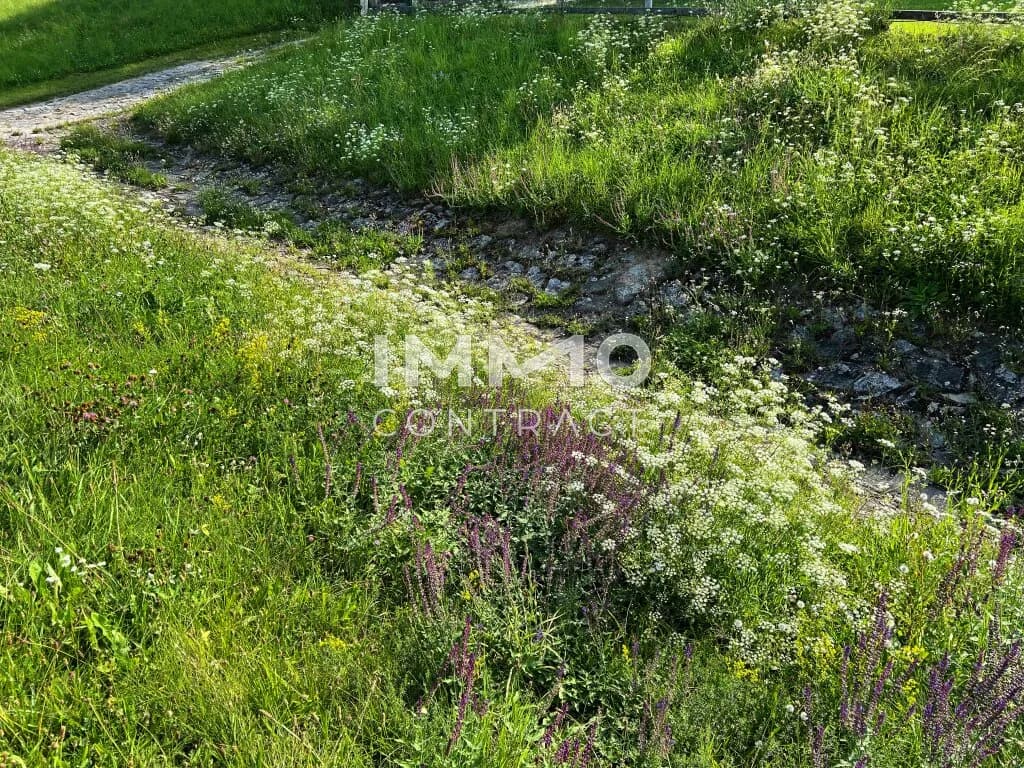 Immobilie kaufen in Krems Land – 1 642 m², € 135.000 – Bild 10 von 11