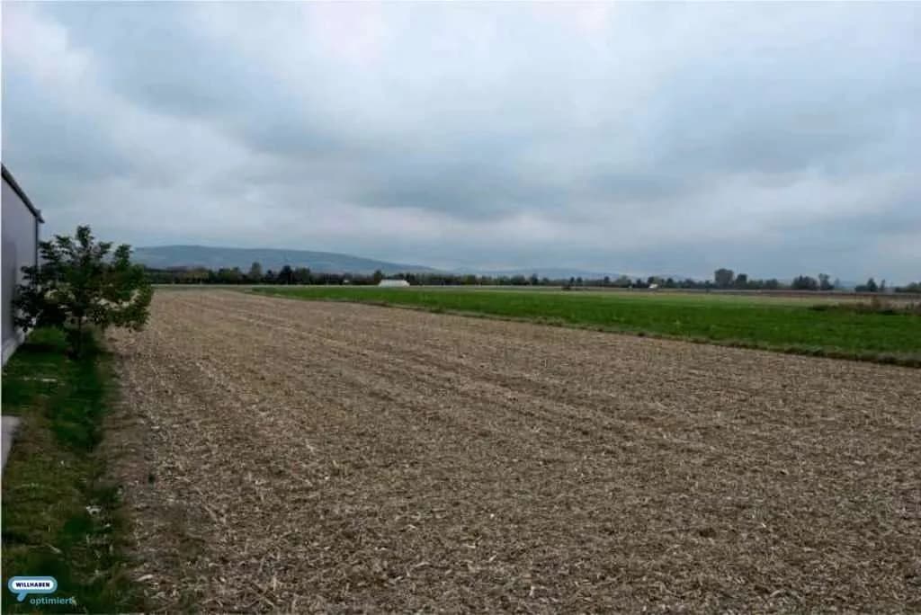 Immobilie mieten in Tulln – 2 080 m², € 1 – Bild 4 von 6