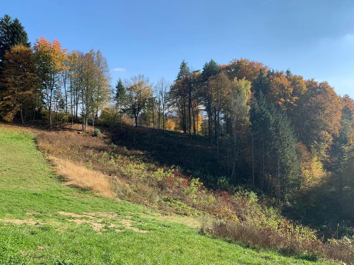 Immobilie kaufen in Leibnitz – 100 m², € 392.000 – Bild 9 von 18