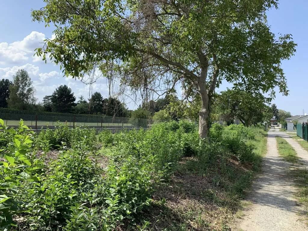 Grundstück kaufen in Bruck an der Leitha – 1 415 m², € 165.000 – Bild 4 von 4