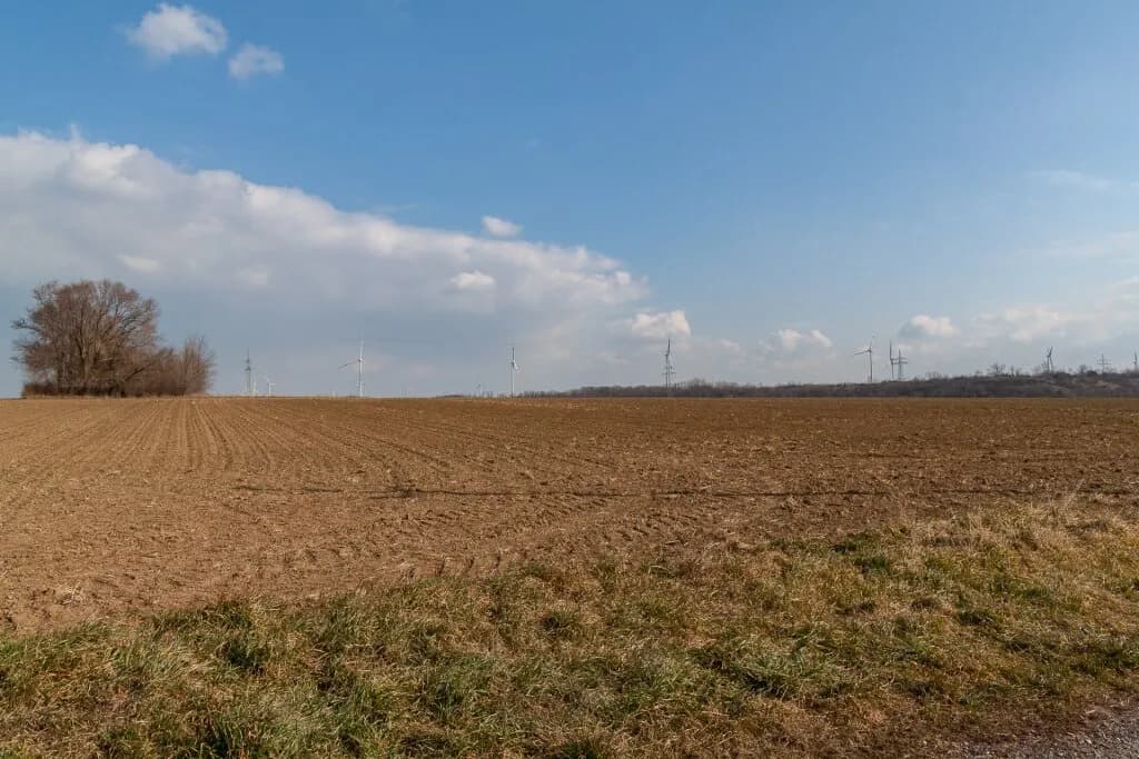 Grundstück kaufen in Neusiedl am See – 526 m², € 210.400 – Bild 5 von 12