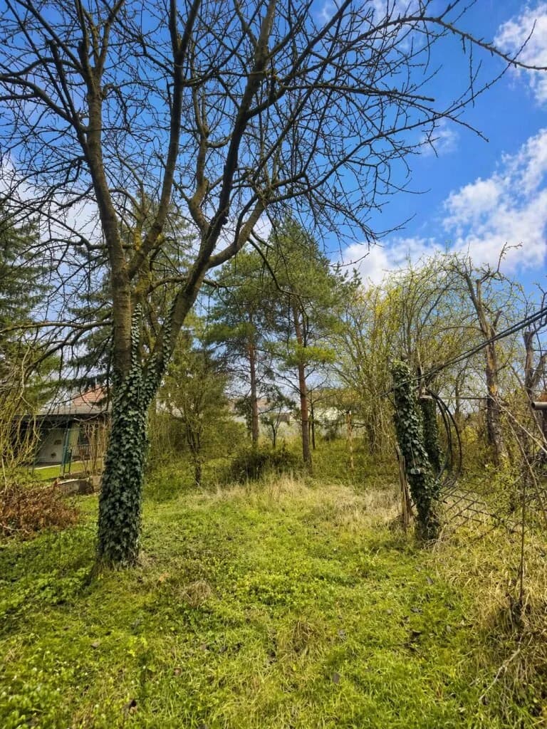Grundstück kaufen in Wien – 1 072 m², € 860.000