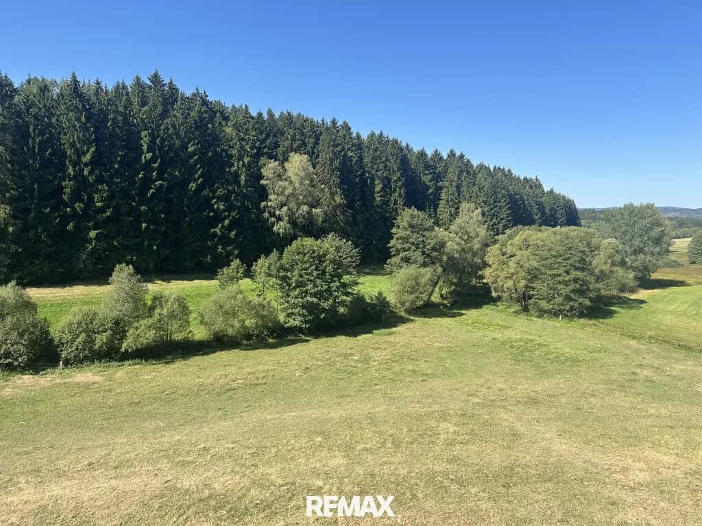 1-Zimmer-Immobilie mieten in Freistadt – 68 m², € 630 – Bild 2 von 11