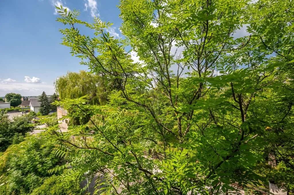 Gewerbeimmobilie kaufen in Baden – 625 m², € 990.000 – Bild 20 von 41