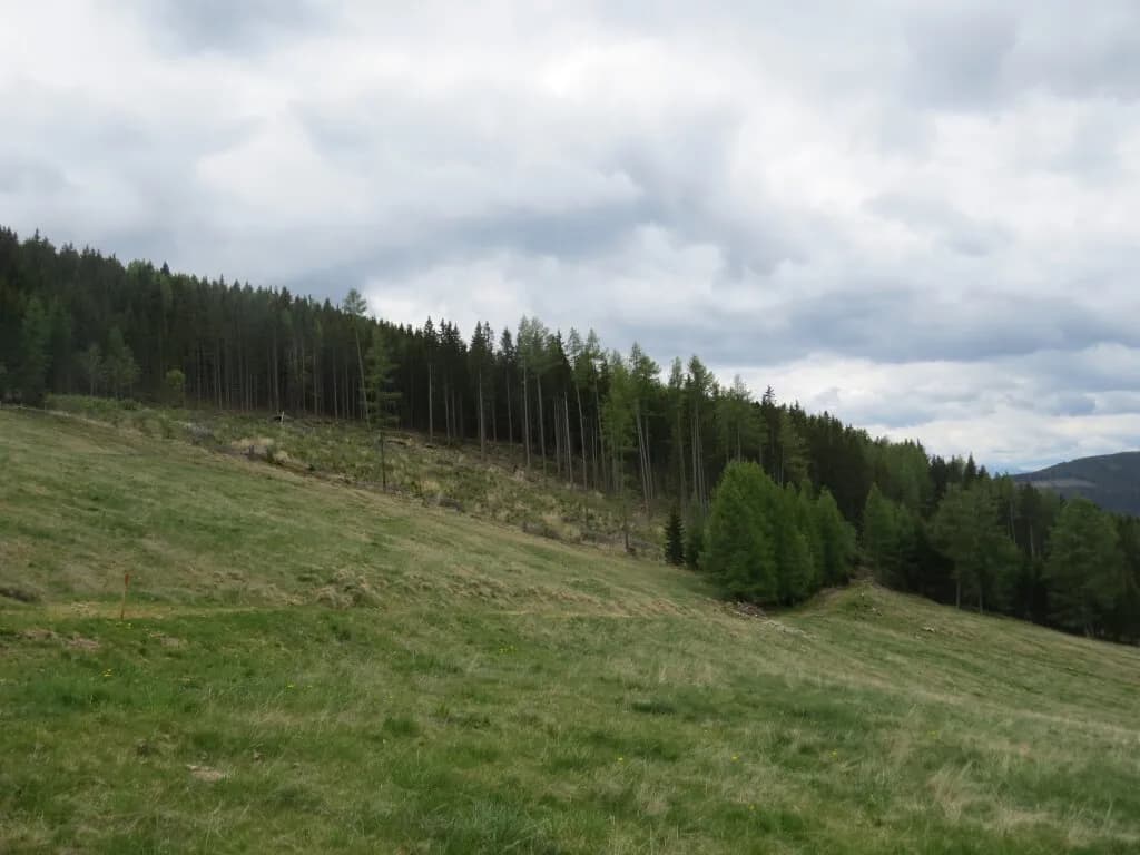 Immobilie kaufen in Murtal – 49 358 m² – Bild 2 von 3