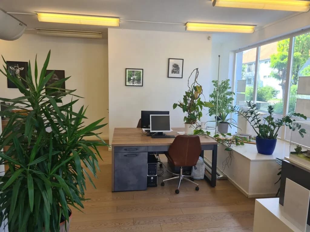1-Zimmer-Gewerbeimmobilie mieten in Graz – 100 m², € 560 – Bild 3 von 5