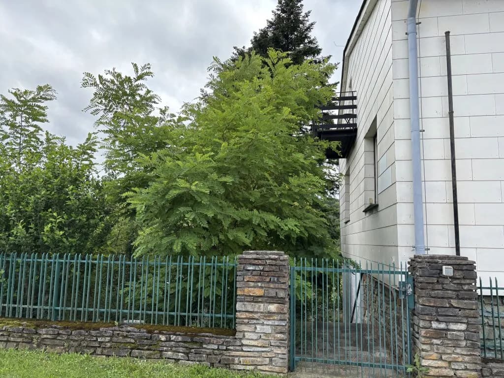 9-Zimmer-Haus kaufen in Oberwart – 220 m², € 259.000 – Bild 17 von 35