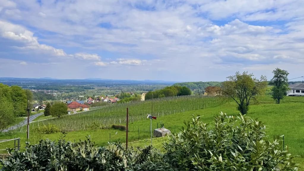 6-Zimmer-Haus kaufen in Leibnitz – 170 m², € 879.000