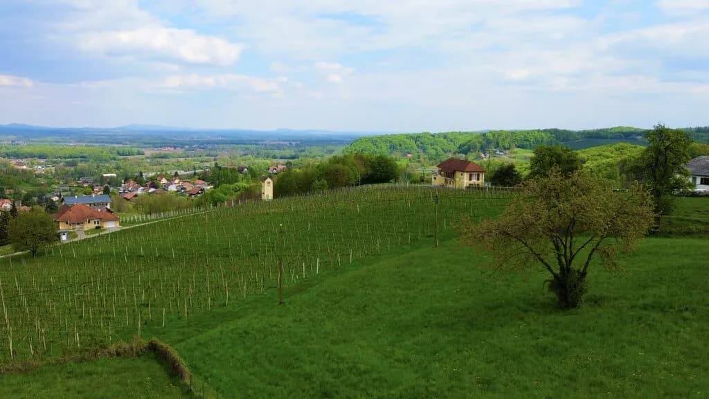 6-Zimmer-Haus kaufen in Leibnitz – 170 m², € 879.000 – Bild 4 von 20