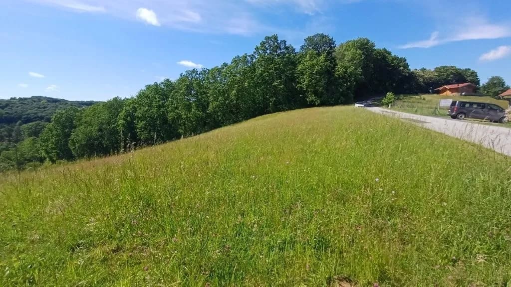 Grundstück kaufen in Jennersdorf – 6 402 m², € 199.000 – Bild 3 von 7