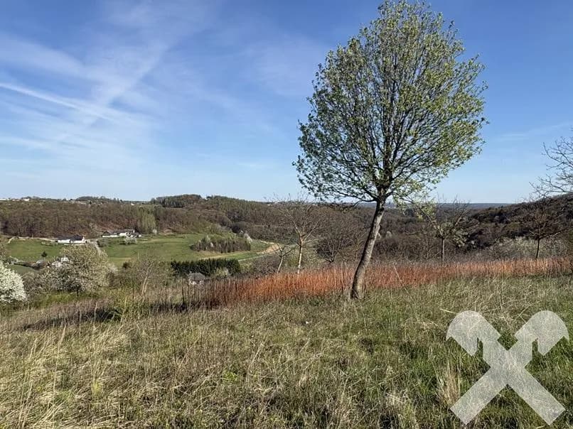 Grundstück kaufen in Jennersdorf – 1 466 m², € 90.000 – Bild 5 von 8