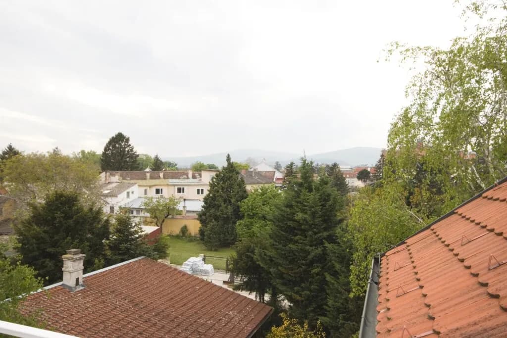 2-Zimmer-Wohnung mieten in Baden – 104 m², € 1.596 – Bild 3 von 19