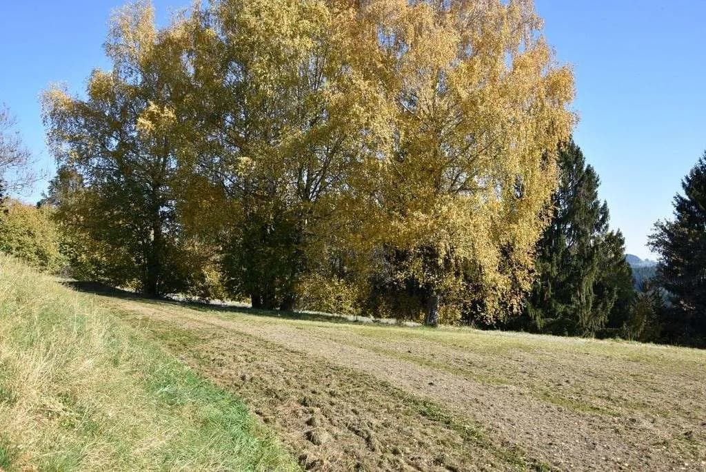 Grundstück kaufen in Feldkirchen – 2 848 m², € 159.000 – Bild 4 von 4