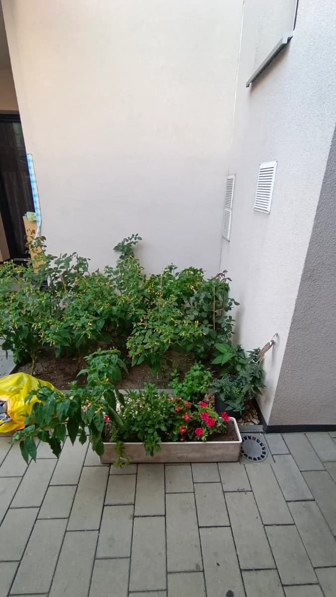 2-Zimmer-Wohnung mieten in Wien – 55 m², € 873 – Bild 23 von 23