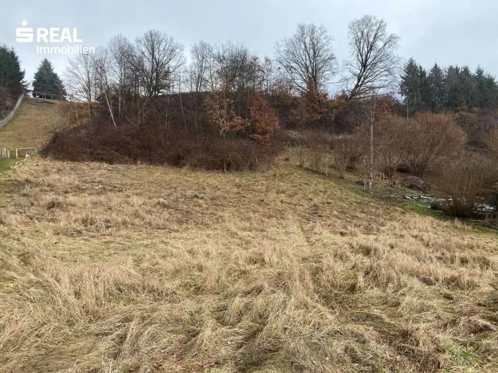 Grundstück kaufen in Hartberg-Fürstenfeld – 2 139 m², € 69.000