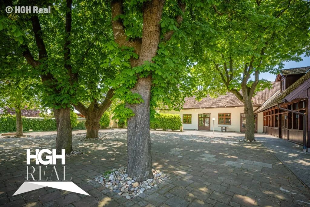 Gewerbeimmobilie kaufen in Hollabrunn – 1 300 m² – Bild 23 von 35