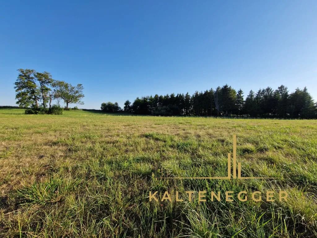 Grundstück kaufen in Wiener Neustadt Land – 2 489 m², € 269.000 – Bild 5 von 12