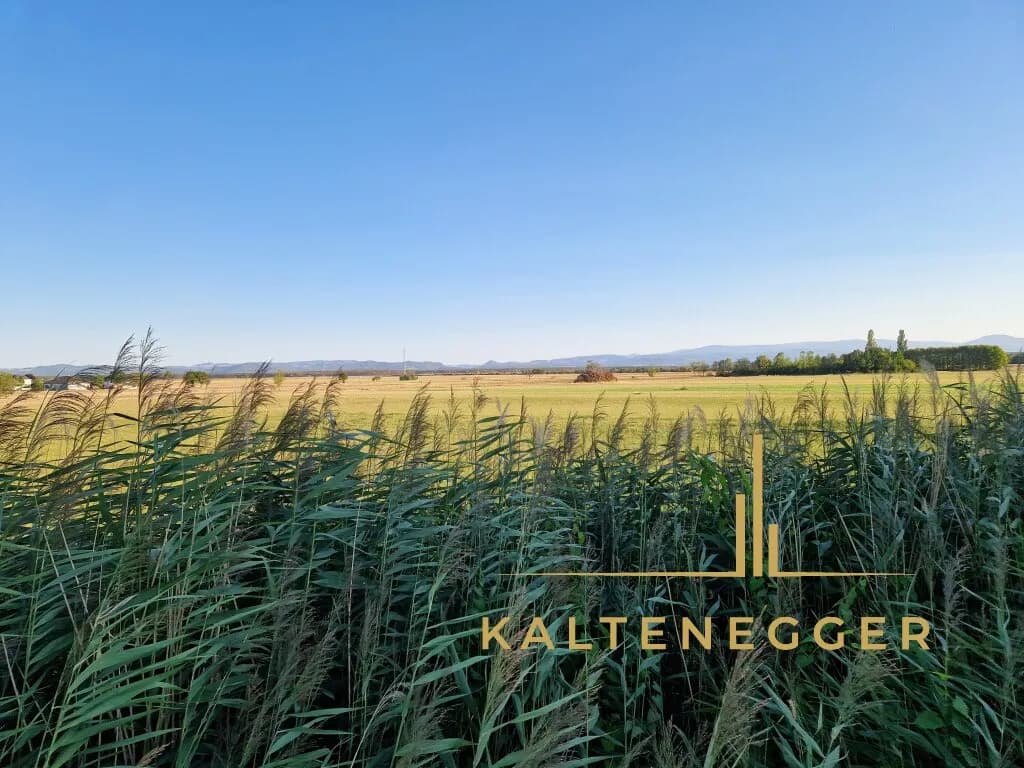 Grundstück kaufen in Wiener Neustadt Land – 2 489 m², € 269.000 – Bild 7 von 12